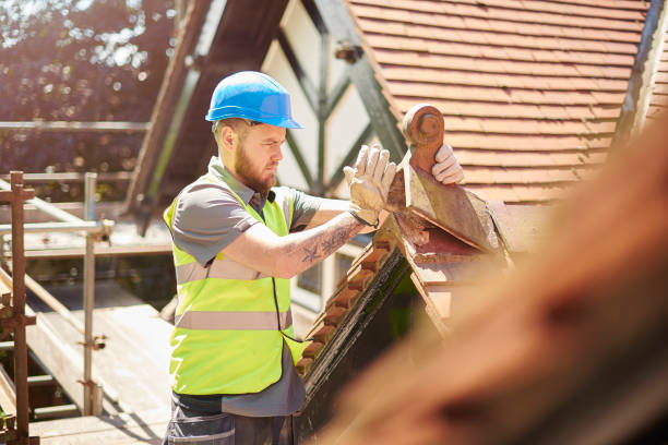 Best Roof Gutter Cleaning  in Clearwater, KS